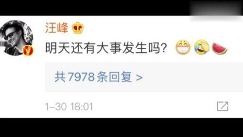 娱乐圈吃瓜去哪个网站,盘点热门网站，让你轻松掌握最新动态